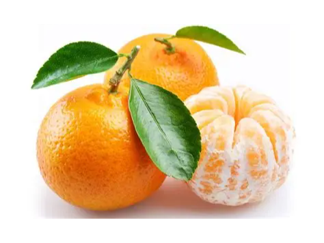Mandarina