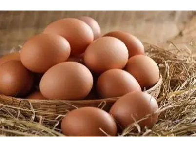 Huevos de Campo (Grandes)