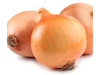 Cebolla