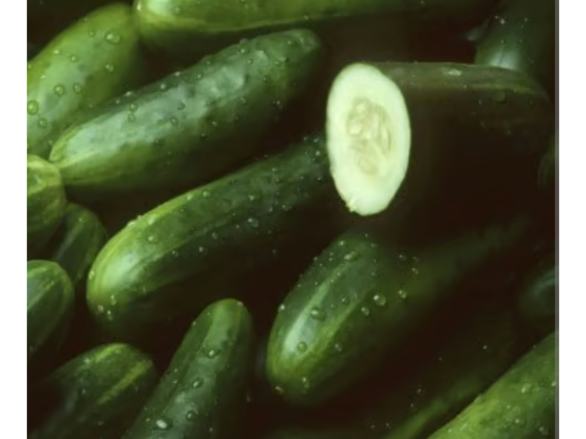 Pepino