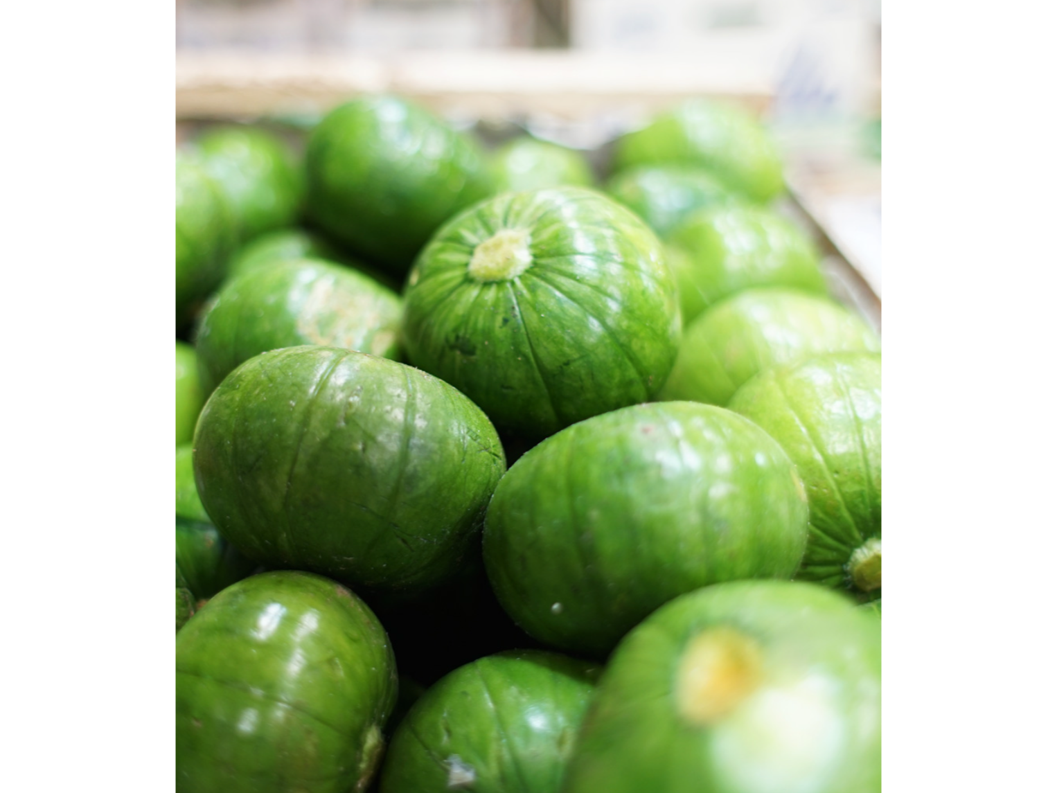 Zapallitos