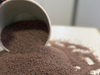Semillas de Psyllium (Plantago)