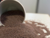 Semillas de Psyllium (Plantago)