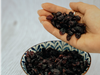 Arandanos disecados