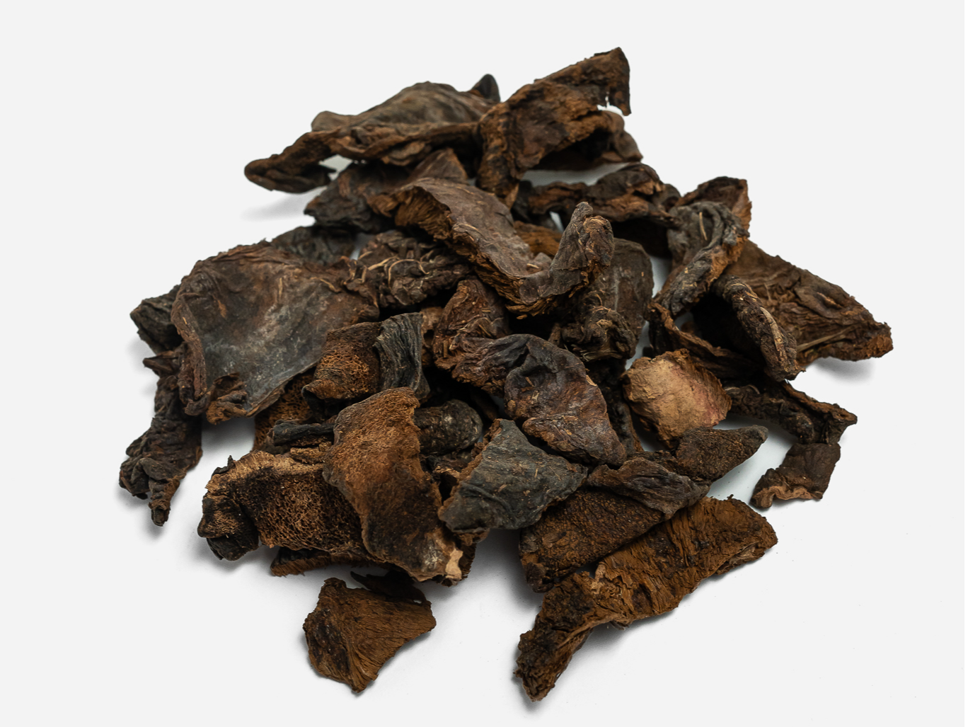 Hongos De Pino Secos