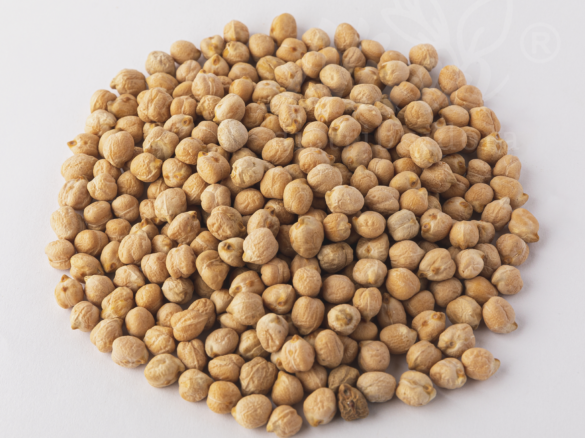 Garbanzos
