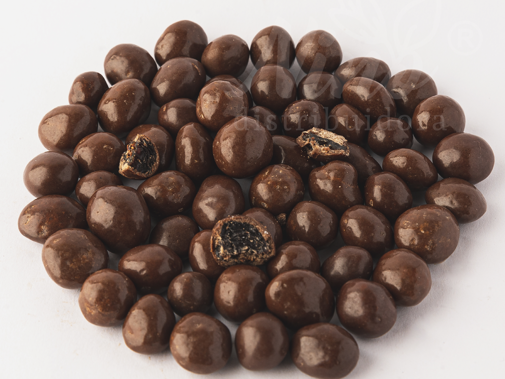 Arandanos con chocolate ARGENFRUT