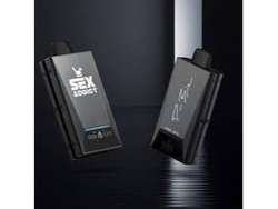 Sex Adic ct x Igni t e