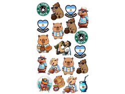 PASION ARGENTINA (CAPIS Y MATES) COD.135