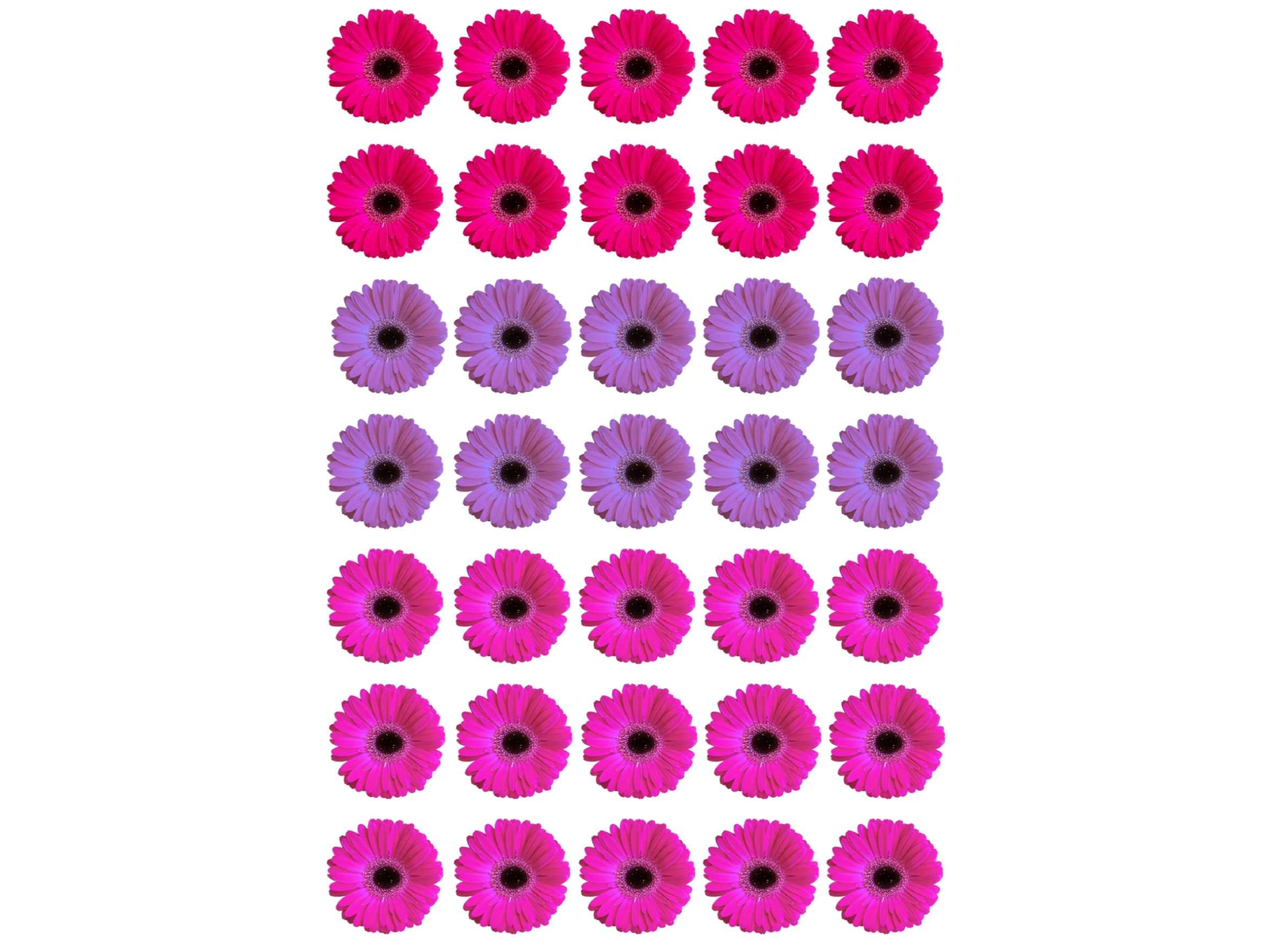 20X28CM FLORES TONOS ROSAS Y LILA X35 COD. G109