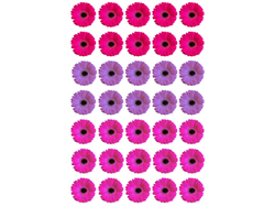 20X28CM FLORES TONOS ROSAS Y LILA X35 COD. G109