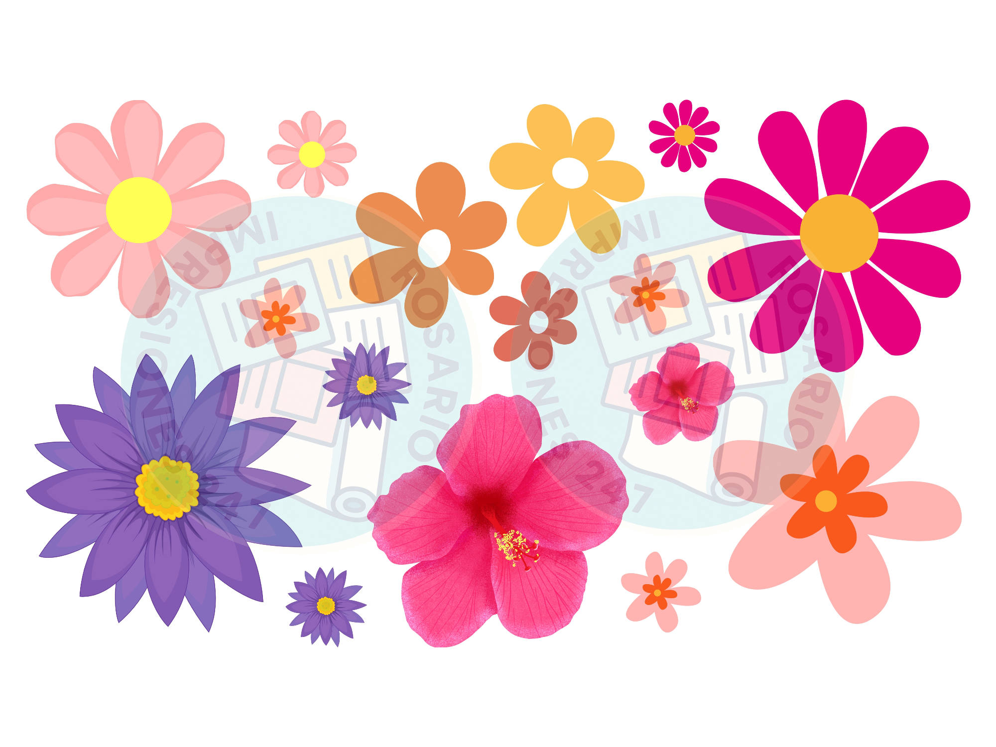 NO ME OLVIDES COLORES COD.19