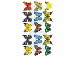 MARIPOSAS MEDIANAS COLORES FUERTES X 15 COD.127