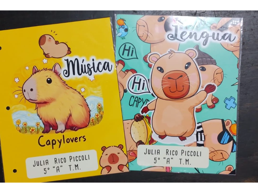 PACK 6 CARATULAS TAMAÑO CARTA