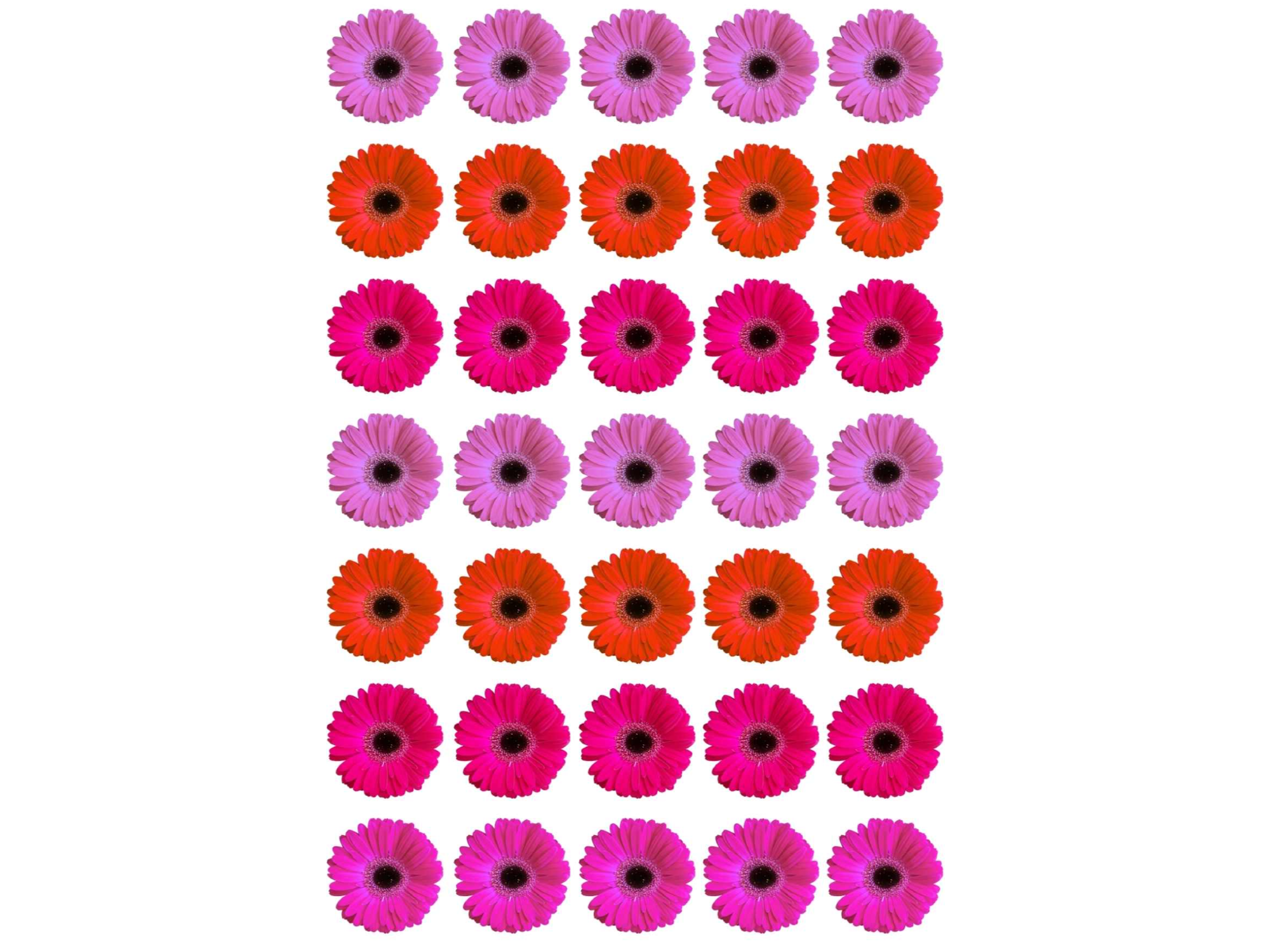 20X28CM FLORES DISTINTOS TONOS X35 COD. G110