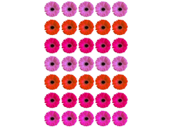 20X28CM FLORES DISTINTOS TONOS X35 COD. G110