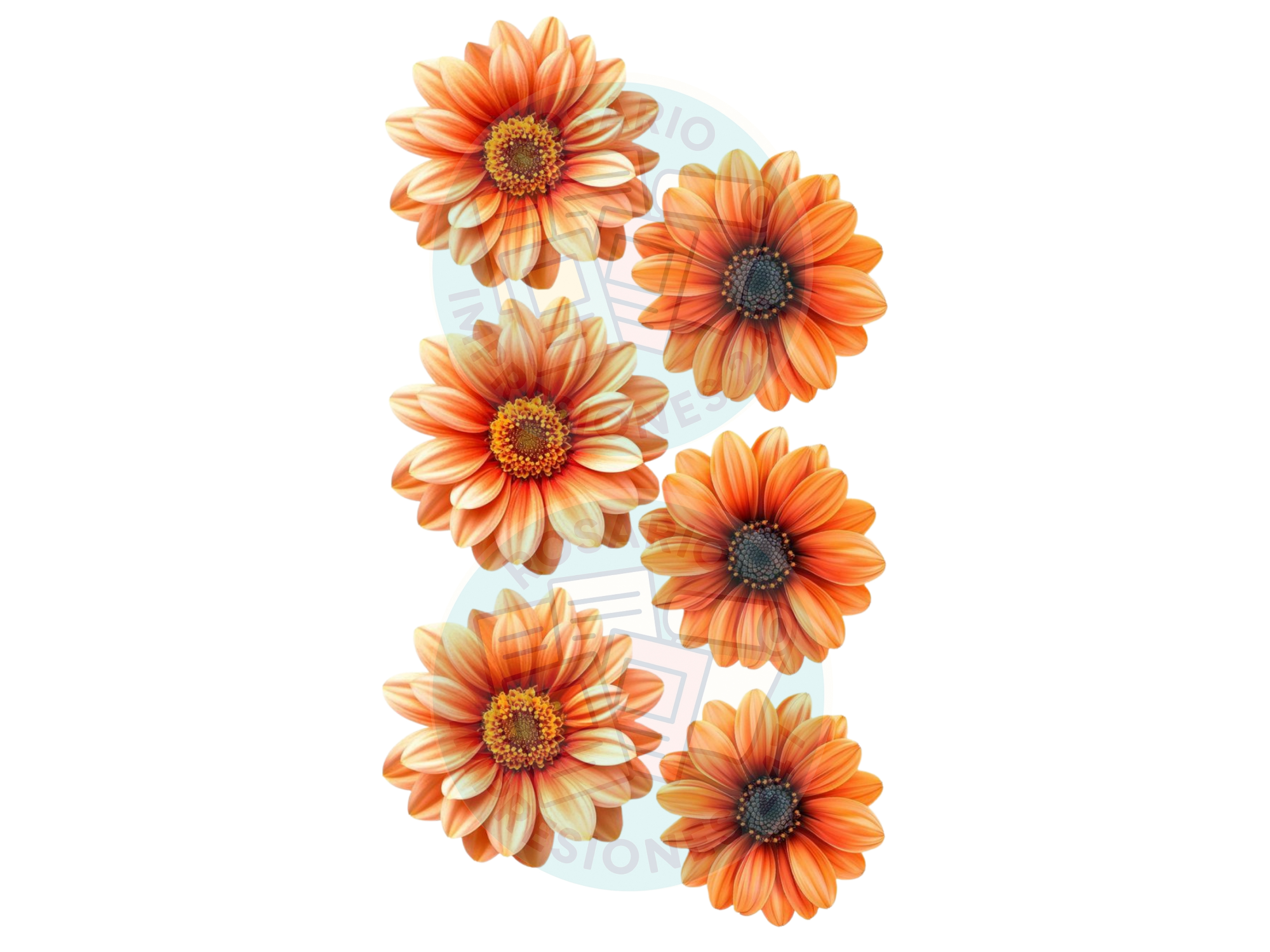 FLORES X6 NARANJA DEGRADE COD.151