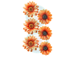 FLORES X6 NARANJA DEGRADE COD.151