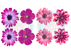 FLORES ROSAS FUERTES Y FUCSIA X 8 COD.229
