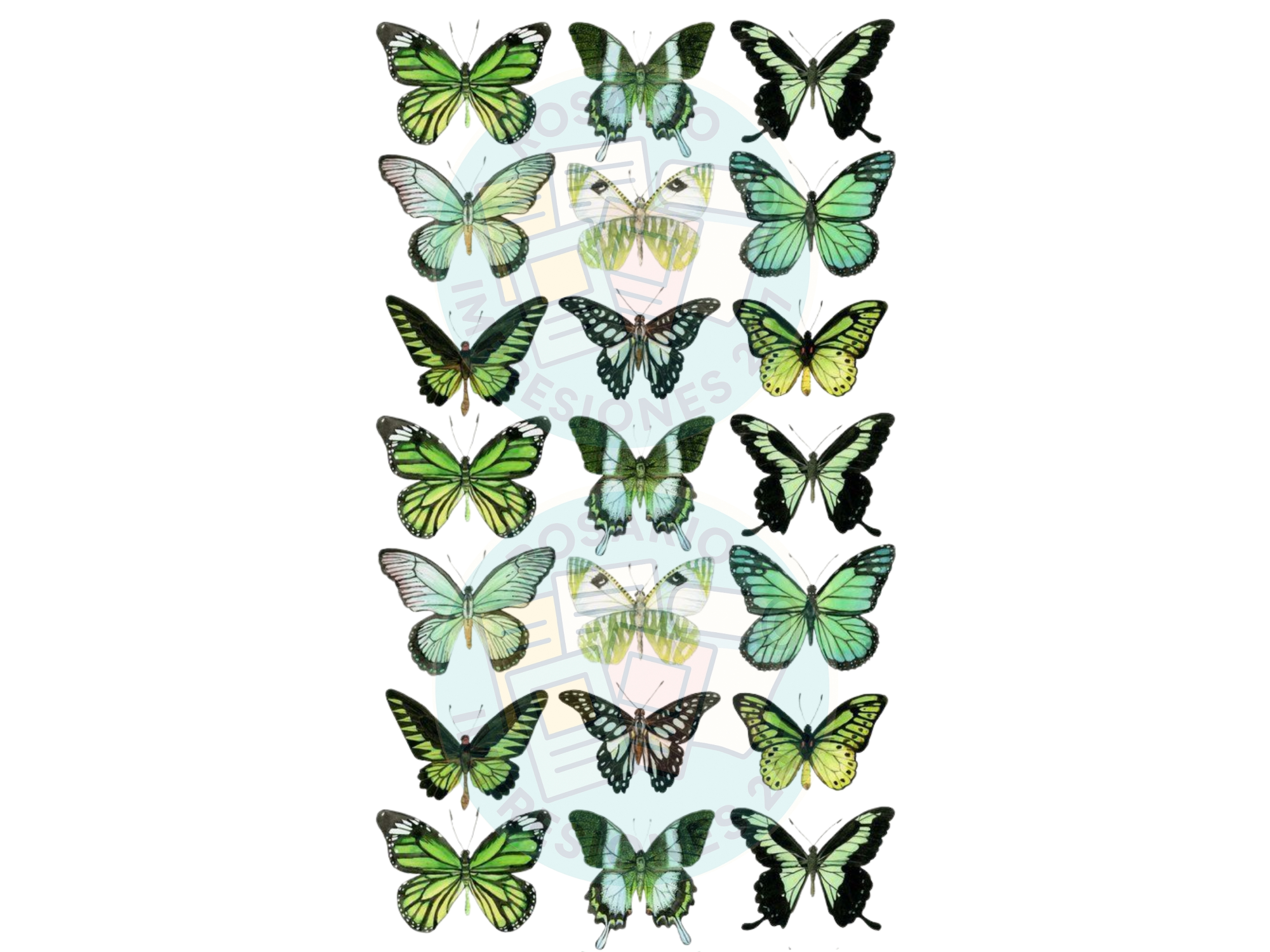 MARIPOSAS VERDES SURTIDAS COD.125
