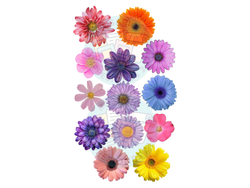 FLORES DE COLORES X13 COD.153