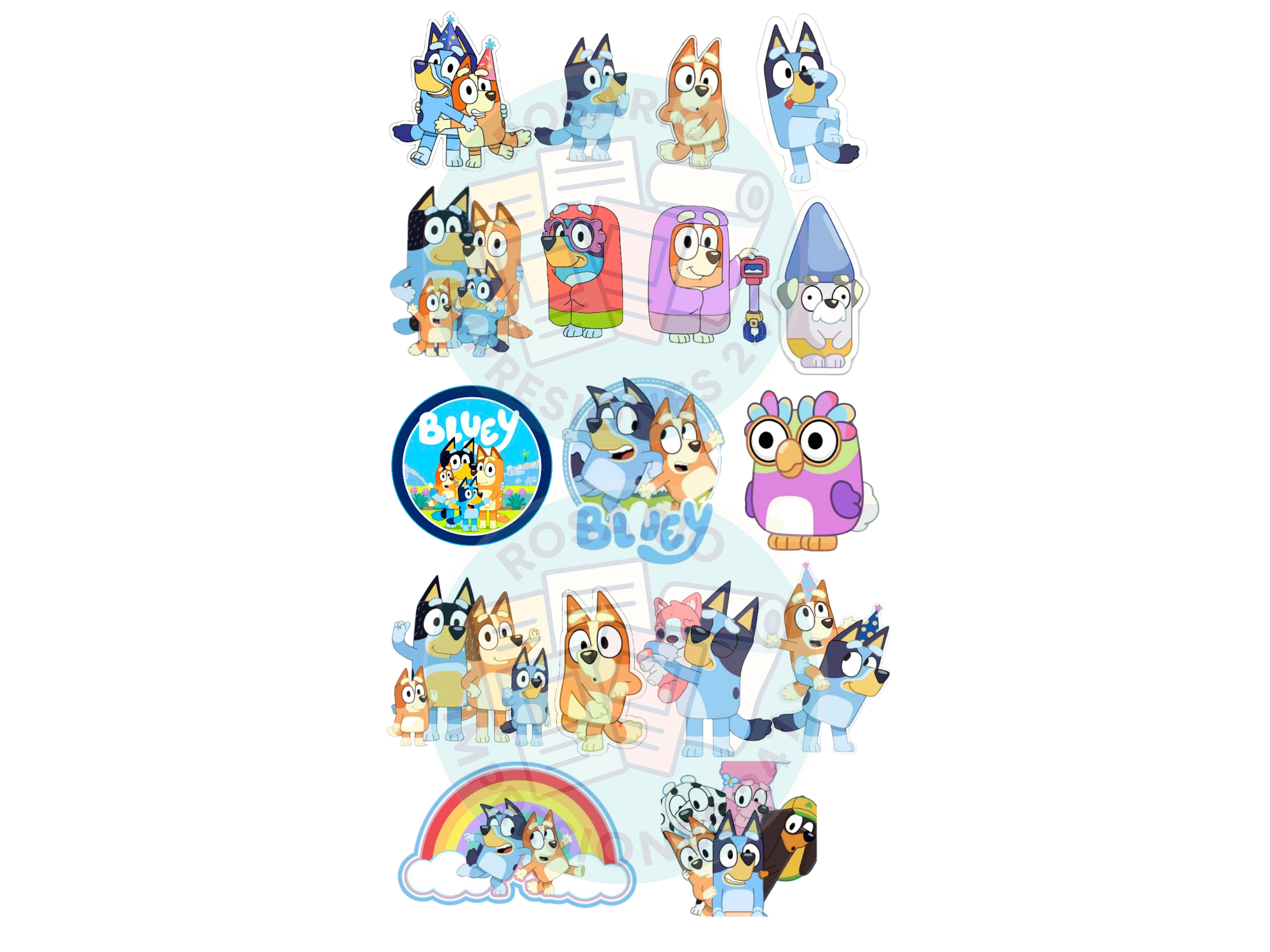 BLUEY MEDIANOS Y CHICOS COD.99