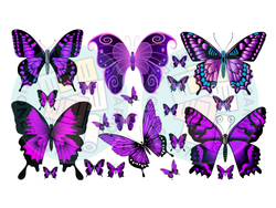 MARIPOSAS TONOS VIOLETAS Y LILAS COD.02
