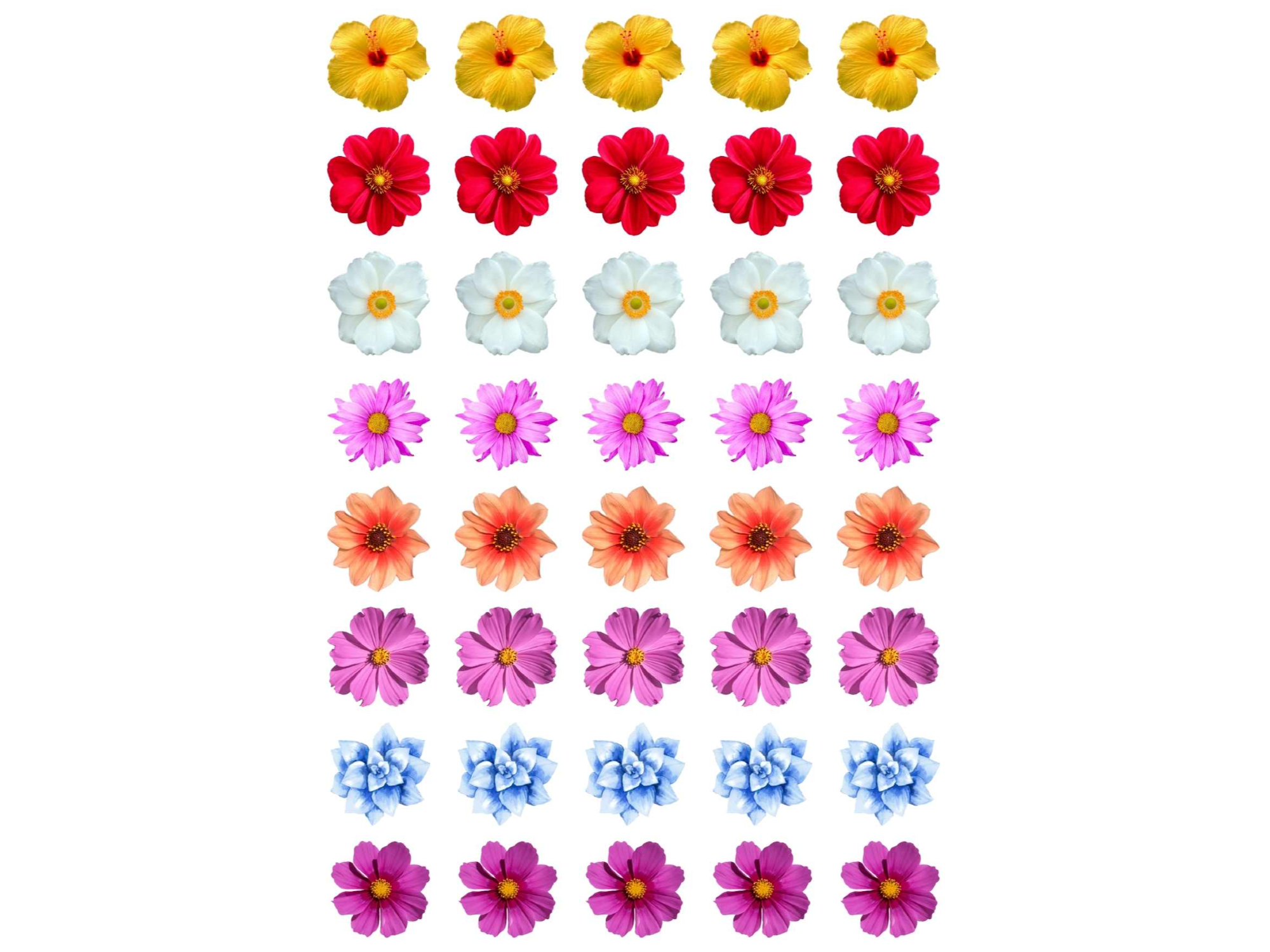 20X28CM FLORES Y COLORES SURTIDOS X40 COD. G111