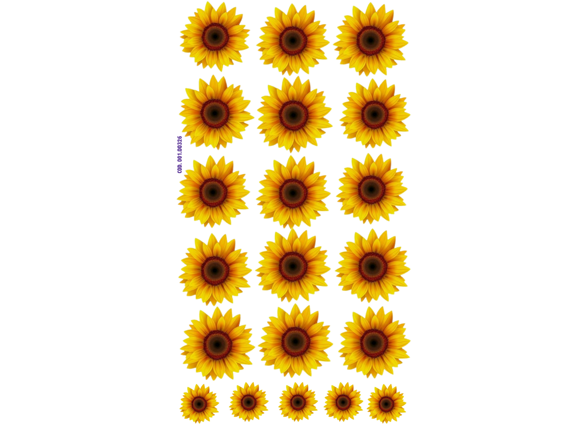 GIRASOLES MEDIANOS Y CHICOS COD.326