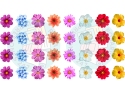 FLORES CHICAS COD.247