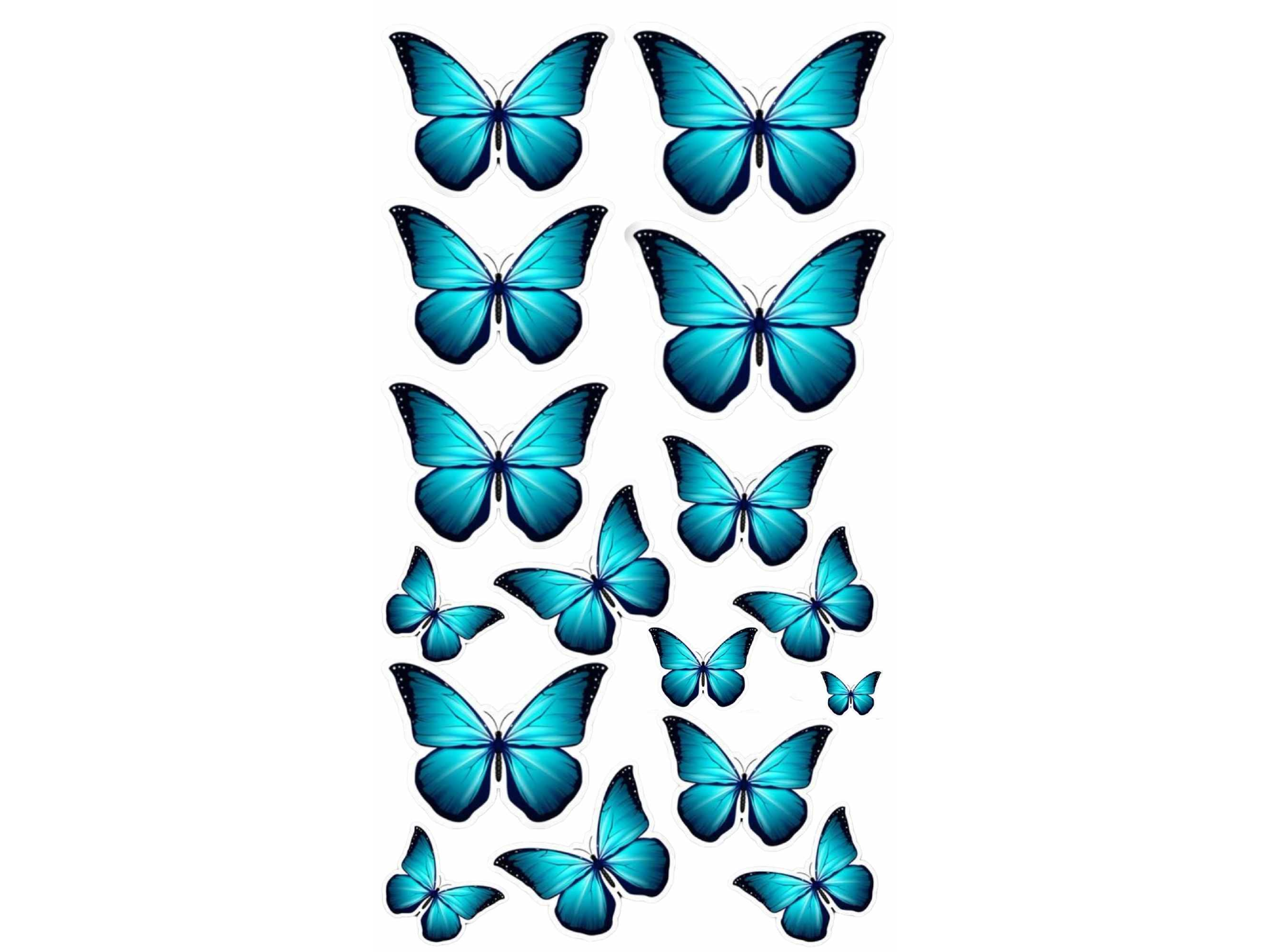 MARIPOSAS TURQUEZAS COD.329