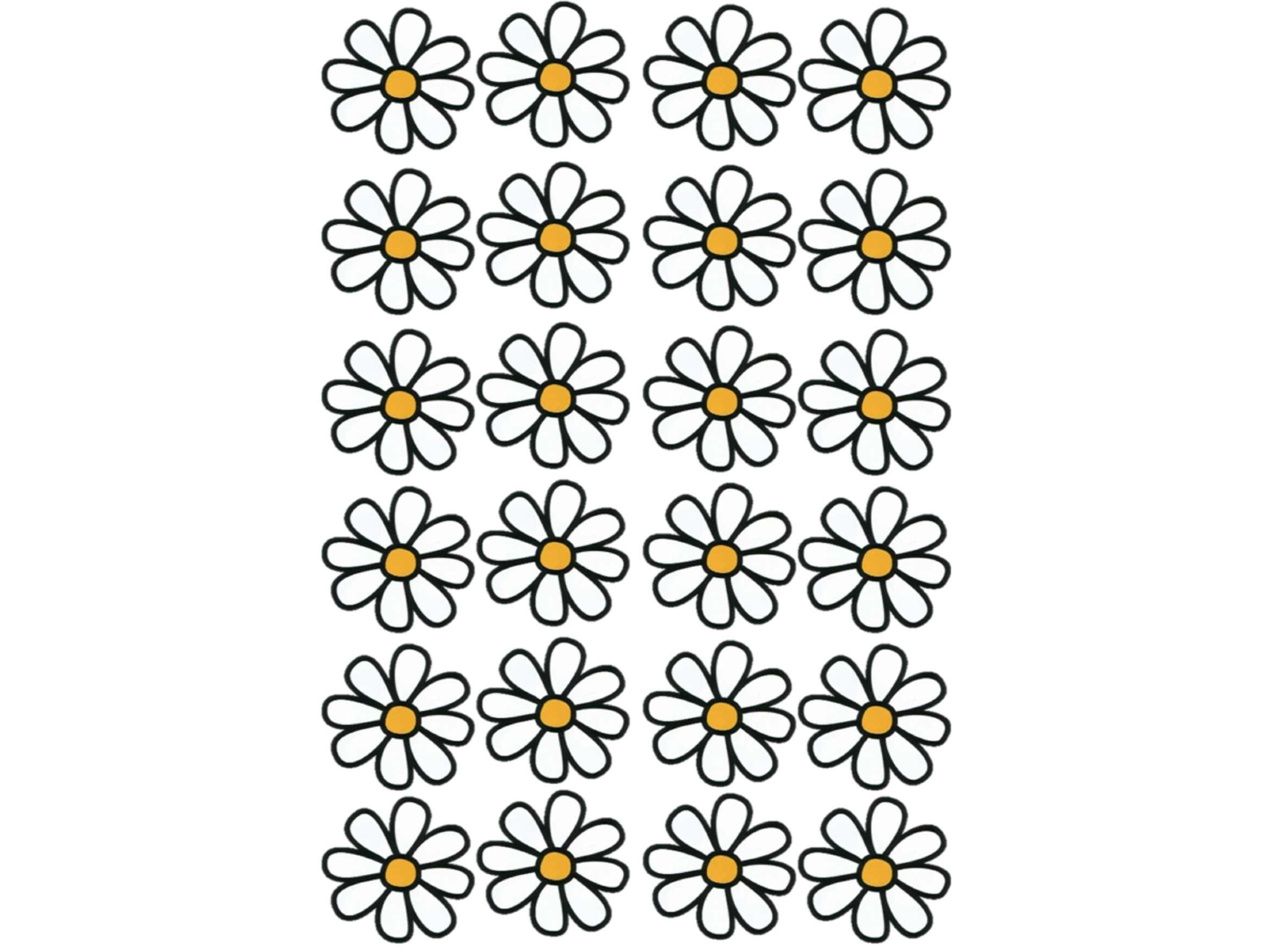 20X28CM MARGARITAS GRANDES BLANCAS X24 COD. G34