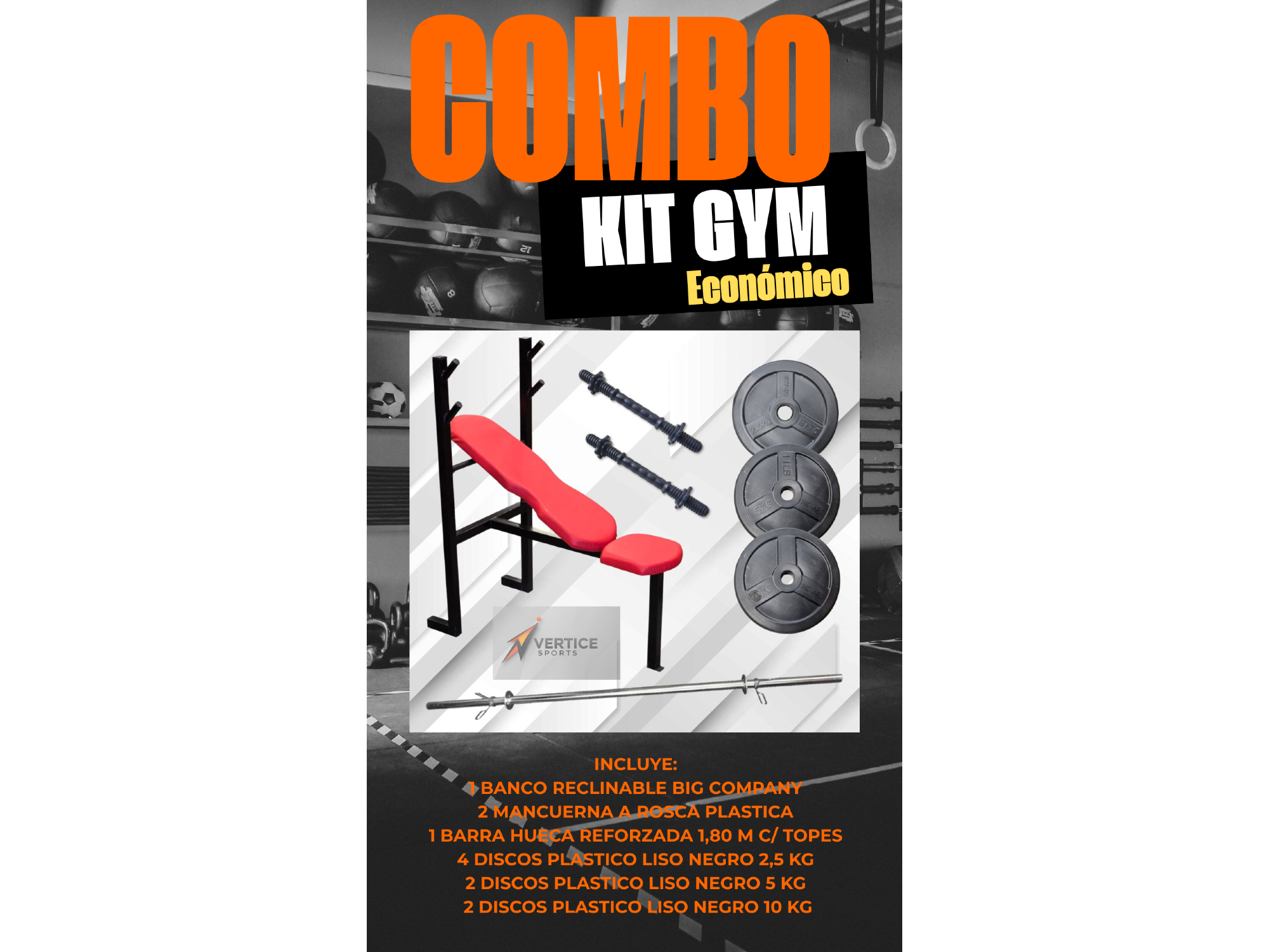 KIT GIMNASIO ECONOMICO