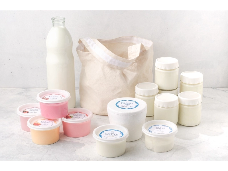 Yogur SATYA Griego 160 ml