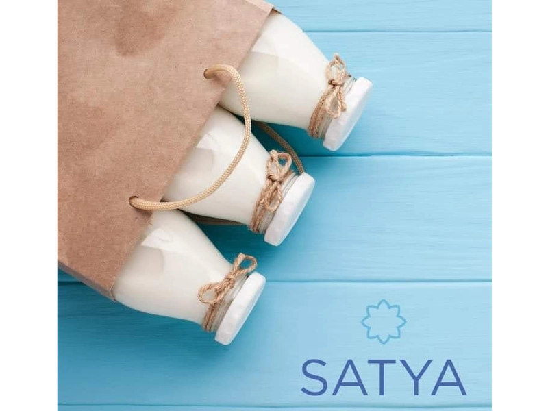 Yogur SATYA 1 L NATURAL