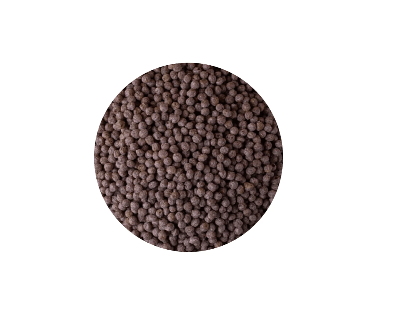 Quinoa Pop con algarroba de Alimentta