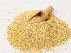 QUINOA