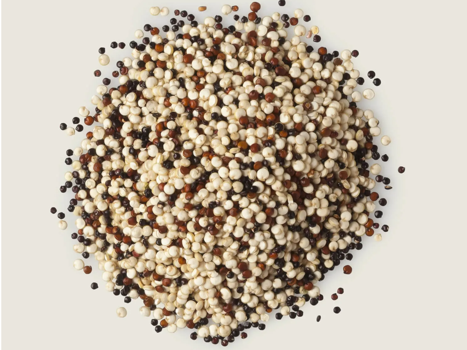 Quinoa Tricolor