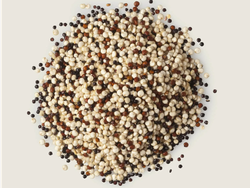 Quinoa Tricolor