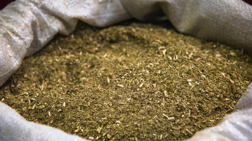 Yerbas