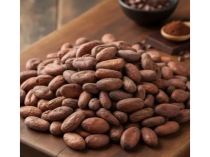 Semillas de cacao