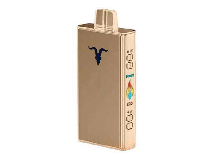 Ignite v250 Recargable 25.000 puff 5% - minty melon