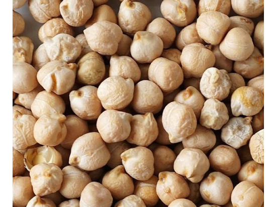 Garbanzo