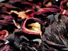 Flor de Hibiscus/Jamaica
