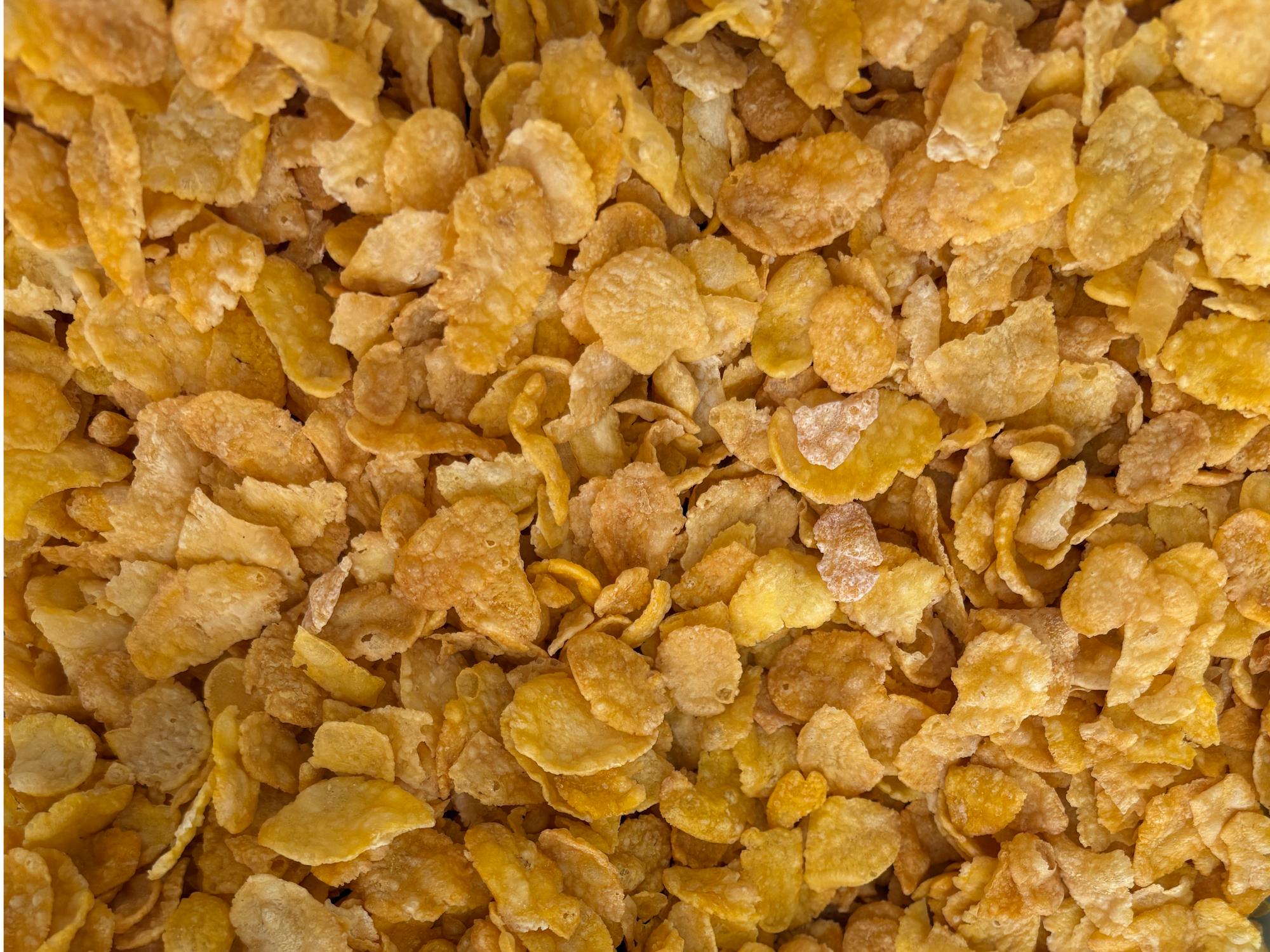 Copos de Maiz naturales