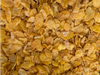 Copos de Maiz naturales