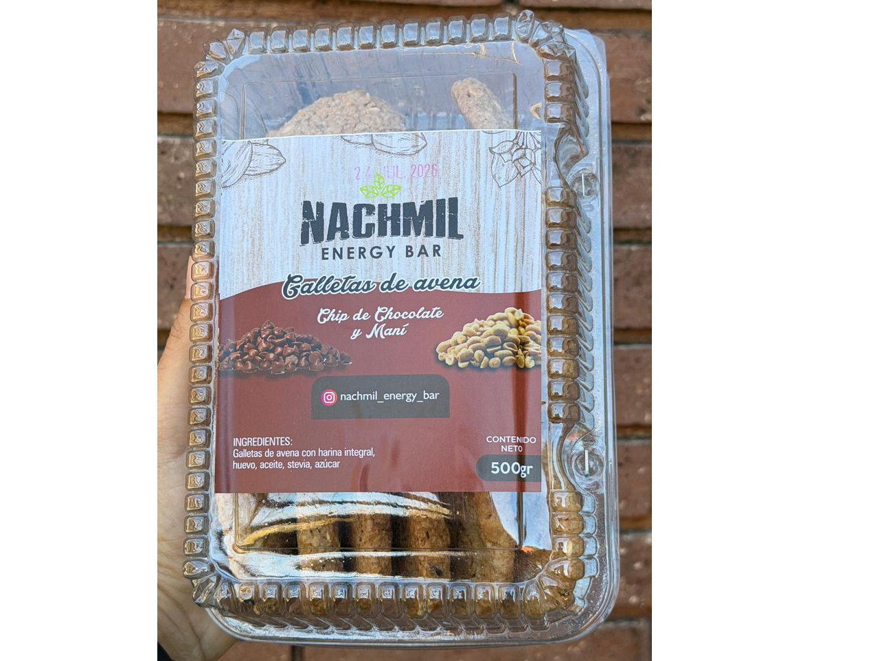 Galletas de avena con chips de chocolate y mani x500gr