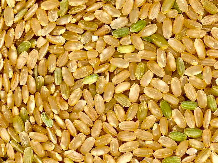 Arroz yamani