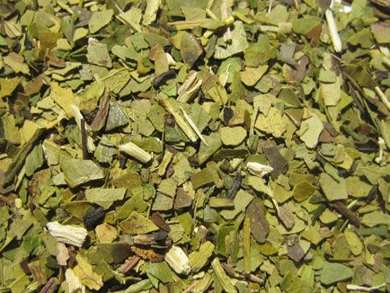 Yerba Ajedrez canchada hoja grande