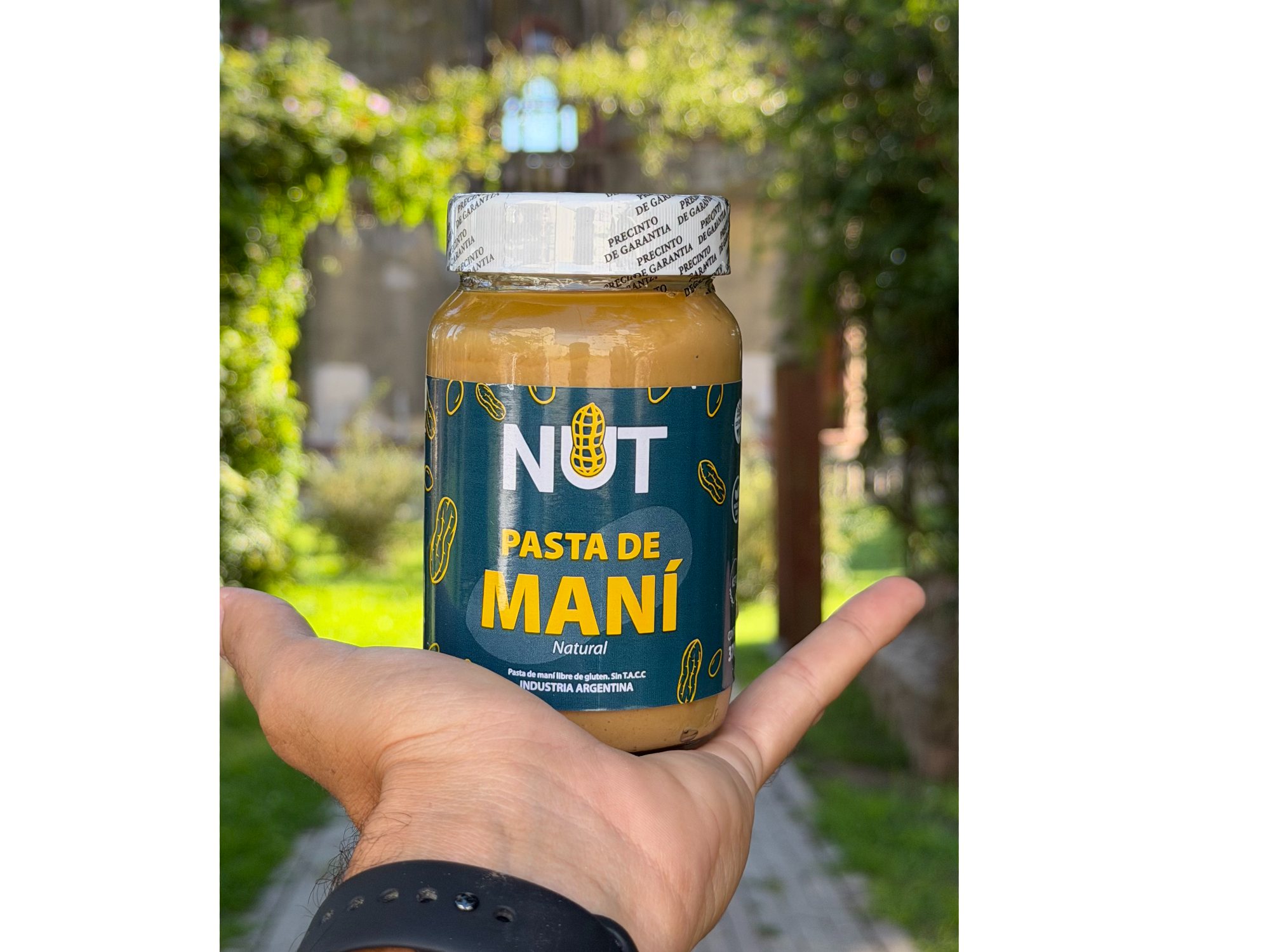 Pasta de mani nut